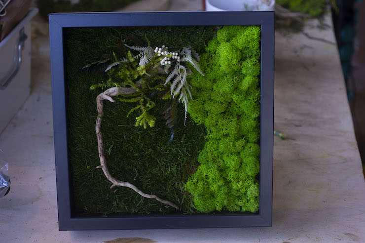 Muschio stabilizzato in quadro verde verticale