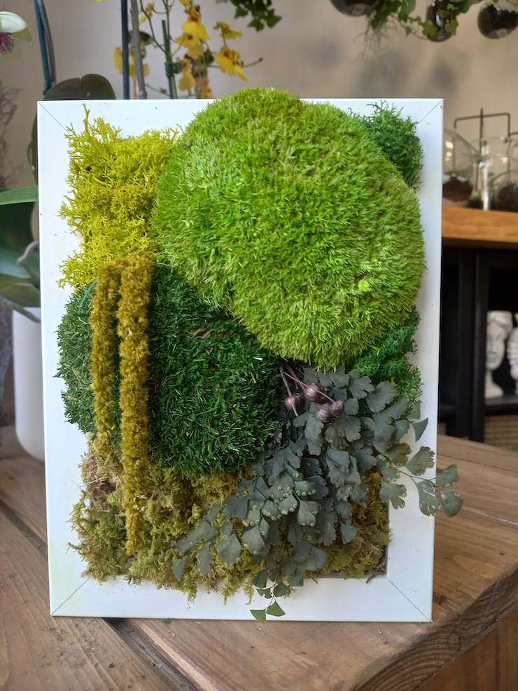 Grus House Green produce soluzioni verticali green composti da piante rare e muschio stabilizzato