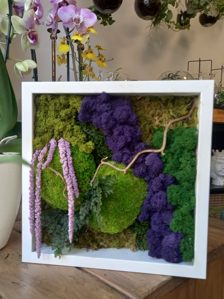 Quadro con muschio stabilizzato by Grus House Green