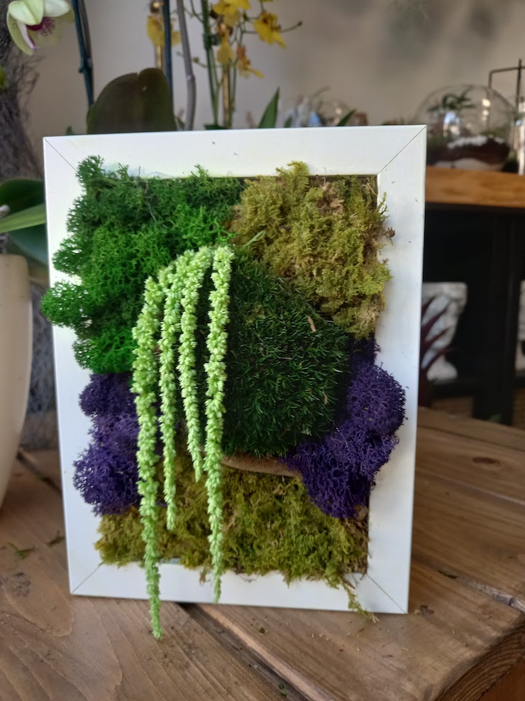 verde-stabilizzato-grus-house-green-6