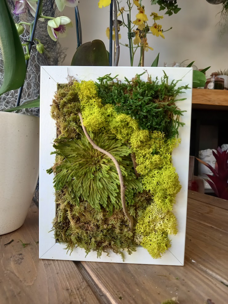 verde-stabilizzato-grus-house-green-7