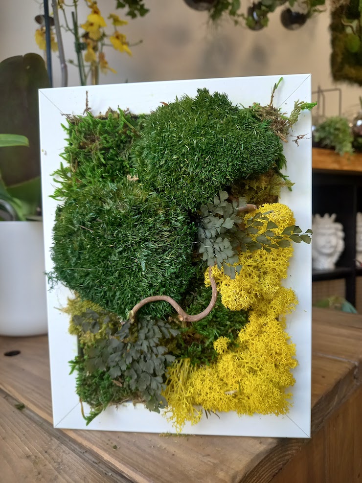verde-stabilizzato-grus-house-green-9