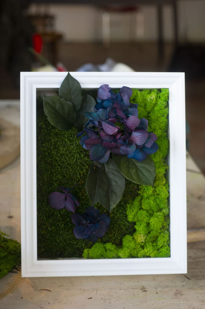 Quadro di muschio stabilizzato di Grus House Green
