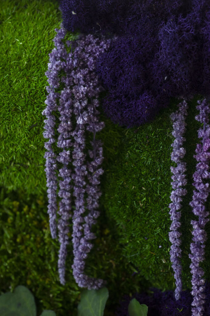Particolare di fiore stabilizzato viola di Grus House Green
