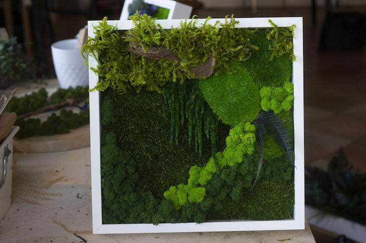 Quadro di muschio stabilizzato di Grus House Green a cornice bianca
