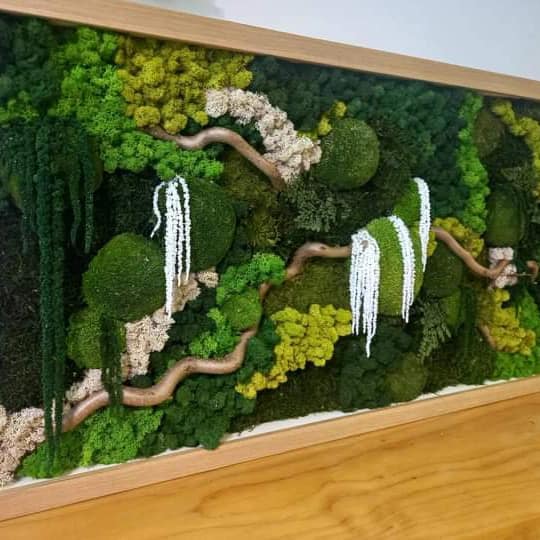 pareti-verticali-grus-house-green-roma-9